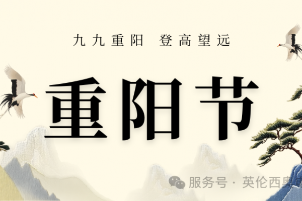 岁岁重阳，今又重阳：这抹温暖，藏着中国人最深的牵挂